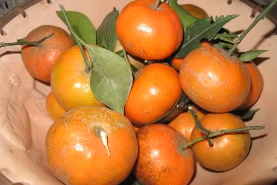 moi ngay an bao nhieu rau qua de du vitamin