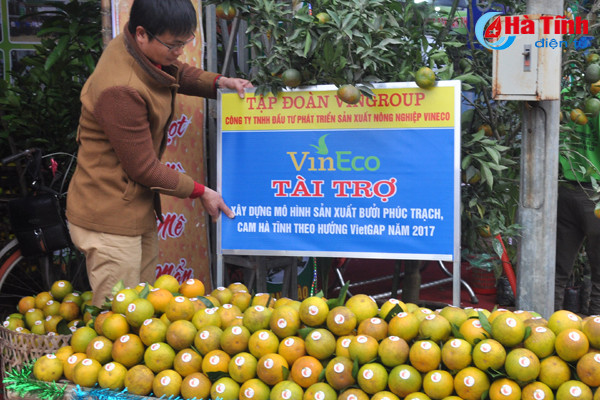 photo cam ha tinh thoi mien nguoi xem truoc gio khai hoi