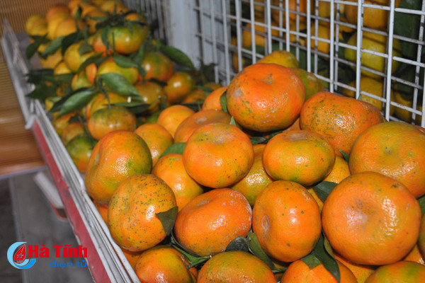 photo cam ha tinh thoi mien nguoi xem truoc gio khai hoi