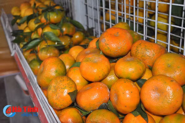 photo cam ha tinh thoi mien nguoi xem truoc gio khai hoi