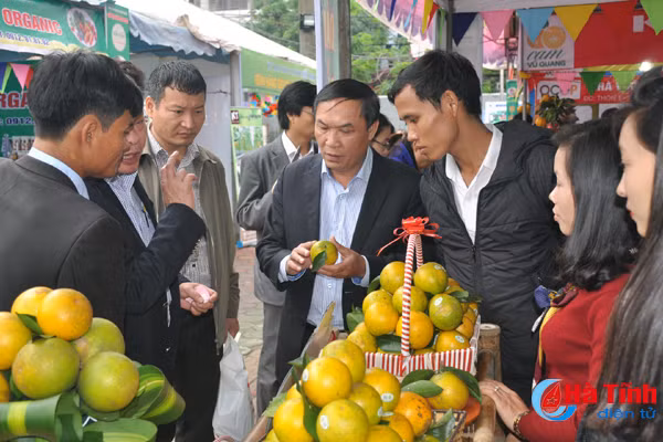 ron rang don le hoi cam va cac san pham nong nghiep ha tinh