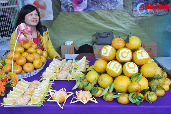 photo cam ha tinh thoi mien nguoi xem truoc gio khai hoi