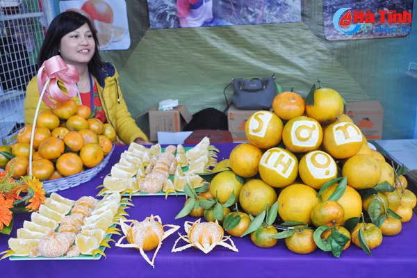 photo cam ha tinh thoi mien nguoi xem truoc gio khai hoi