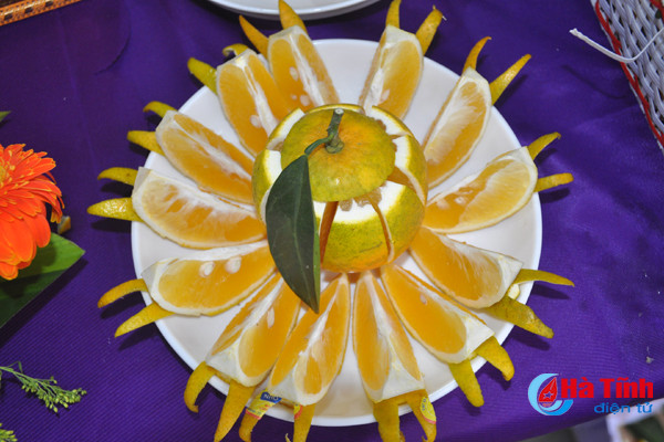 photo cam ha tinh thoi mien nguoi xem truoc gio khai hoi