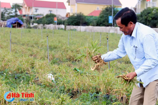 trong gung lien ket nguoi dan co nguy co trang tay