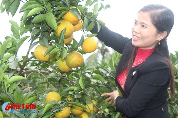 cam sach vu quang san sang dua hoi
