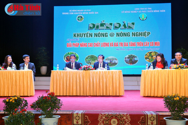 tang tham canh phat trien cay an qua co mui theo huong vietgap