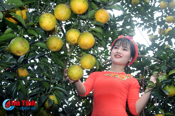 cam sach vu quang san sang dua hoi