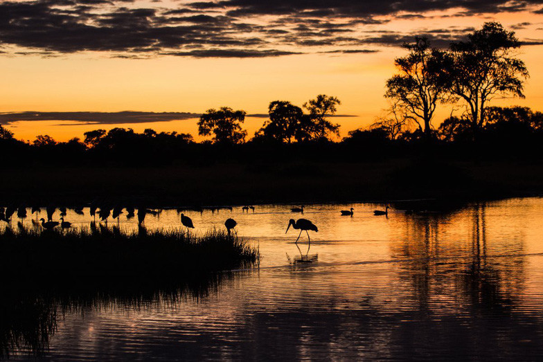 Ngắm châu Phi mê hoặc trong phim tài liệu National Geographic ảnh 11 ngam chau phi me hoac trong phim tai lieu national geographic