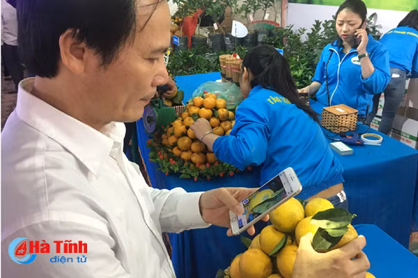 ron rang don le hoi cam va cac san pham nong nghiep ha tinh