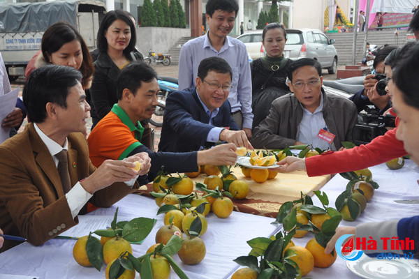 photo cam ha tinh thoi mien nguoi xem truoc gio khai hoi