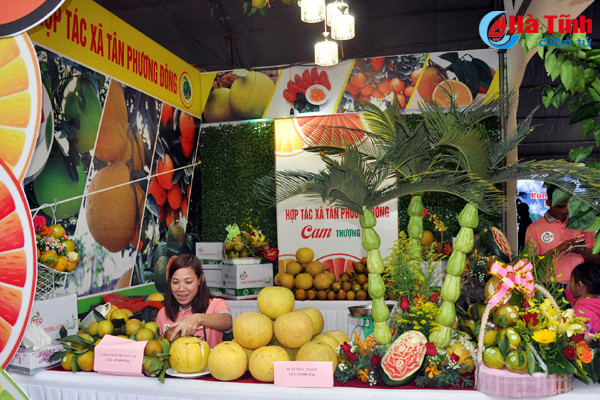 photo cam ha tinh thoi mien nguoi xem truoc gio khai hoi