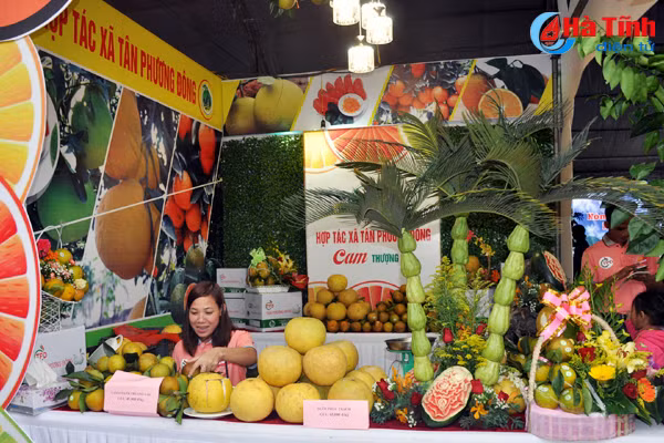 photo cam ha tinh thoi mien nguoi xem truoc gio khai hoi