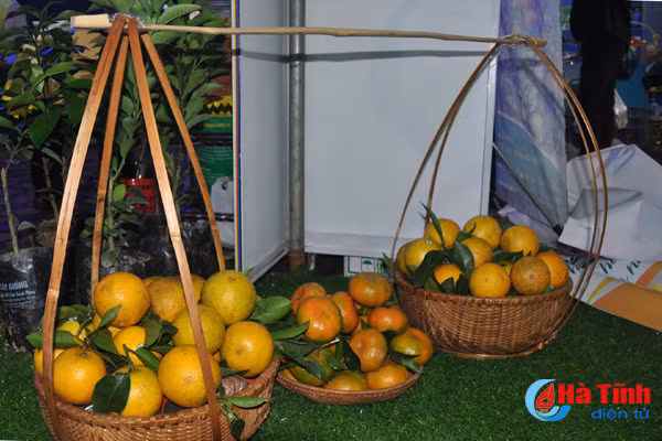 photo cam ha tinh thoi mien nguoi xem truoc gio khai hoi