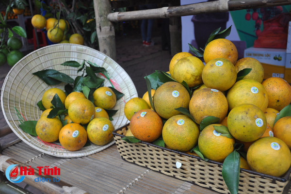 photo cam ha tinh thoi mien nguoi xem truoc gio khai hoi