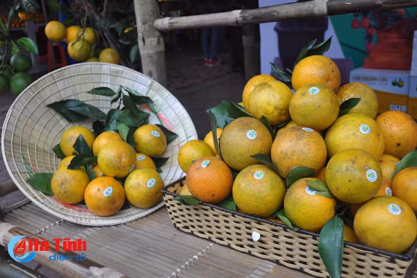 photo cam ha tinh thoi mien nguoi xem truoc gio khai hoi