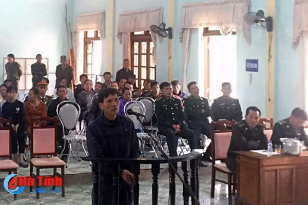 pha rung phong ho de trong keo linh an 7 thang tu