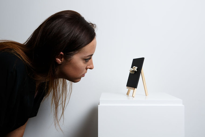 doc dao nhung buc tieu hoa tren bong ngo