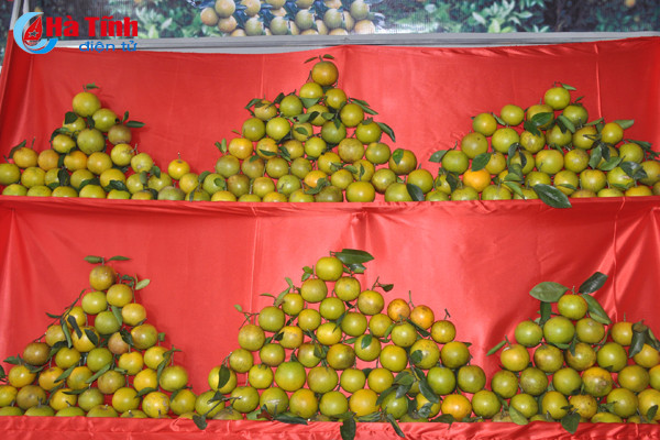 photo cam ha tinh thoi mien nguoi xem truoc gio khai hoi