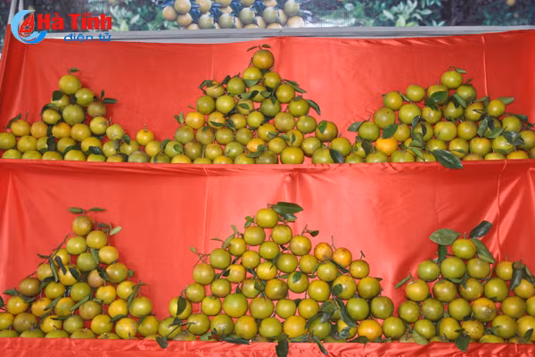 photo cam ha tinh thoi mien nguoi xem truoc gio khai hoi