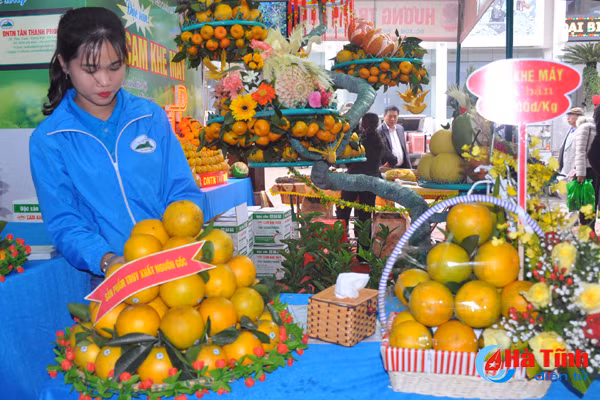 ron rang don le hoi cam va cac san pham nong nghiep ha tinh