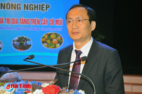 tang tham canh phat trien cay an qua co mui theo huong vietgap