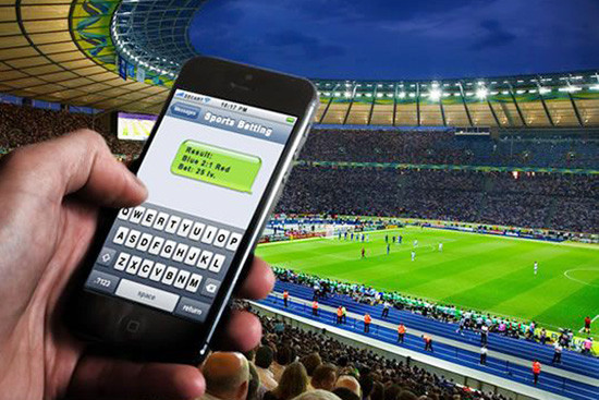 Hà Tĩnh đánh sập đường dây cá độ bóng đá World Cup qua mạng hơn 35 tỷ đồng