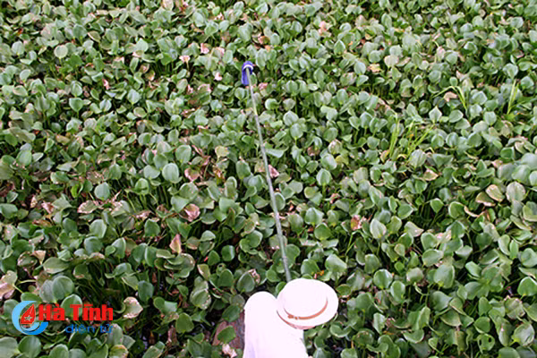 ke ra tay tan doc giet ban cuop xe may nhan an chung than