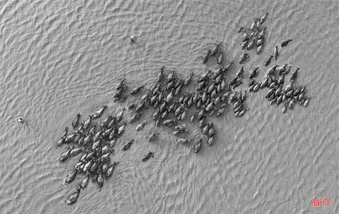 Ngắm các tác phẩm nhiếp ảnh của Hà Tĩnh tại Liên hoan Ảnh nghệ thuật Bắc Trung bộ 2019