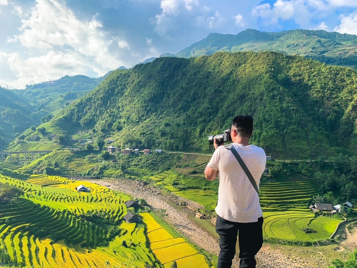 Lào Cai mùa lúa chín sớm