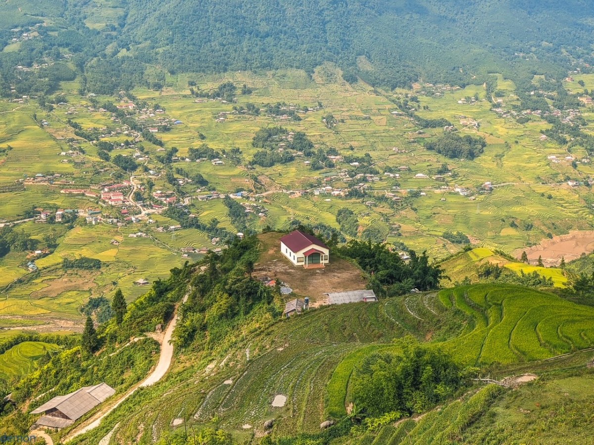 Lào Cai mùa lúa chín sớm