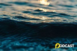 Podcast Bút ký "Người hóa thành sóng"