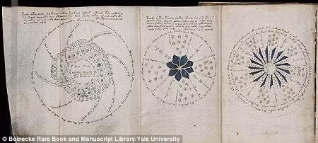 Cuốn sách nghiên cứu chủ yếu về sinh vật học và thiên văn học. Tuy được thực hiện rất kỳ công nhưng vì sự xa lạ của những hình vẽ minh họa và sự bế tắc trong giải mã ngôn từ mà nhiều nhà khoa học coi đây là một trò “chơi khăm” của người xưa. Cuốn sách nghiên cứu chủ yếu về sinh vật học và thiên văn học. Tuy được thực hiện rất kỳ công nhưng vì sự xa lạ của những hình vẽ minh họa và sự bế tắc trong giải mã ngôn từ mà nhiều nhà khoa học coi đây là một trò “chơi khăm” của người xưa.