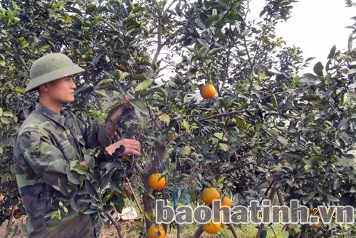 ĐVTN Vũ Quang mạnh dạn chuyển đổi cơ cấu cây trồng, vật nuôi; đầu tư xây dựng nhiều mô hình hiệu quả kinh tế cao.