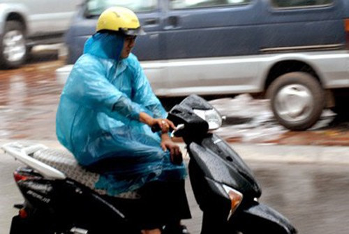 Ảnh minh họa từ internet