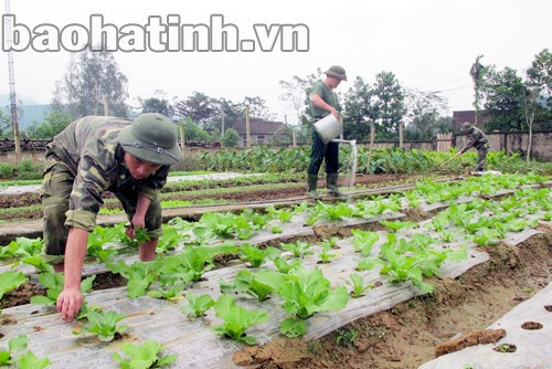 Cán bộ, chiến sĩ Đồn Phú Gia (Hương Khê) chăm sóc vườn rau. Cán bộ, chiến sĩ Đồn Phú Gia (Hương Khê) chăm sóc vườn rau.