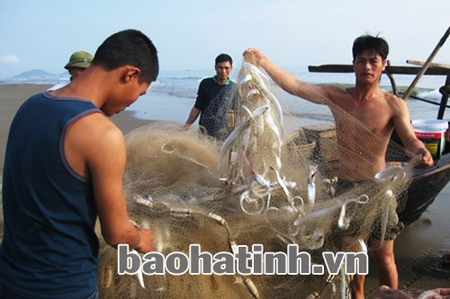 Chế độ, chính sách của Nhà nước hỗ trợ còn hạn chế cũng đang là nguyên nhân dẫn đến tình trạng ngư dân thờ ơ đối với các loại bảo hiểm nghề đi biển