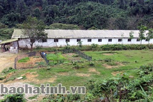 Trang trại chăn nuôi lợn quy mô lớn của anh Nguyễn Văn Linh, thôn Khe Dầu – Sơn Kim 1 cho thu nhập cao. Trang trại chăn nuôi lợn quy mô lớn của anh Nguyễn Văn Linh, thôn Khe Dầu – Sơn Kim 1 cho thu nhập cao.