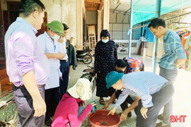 Ngành y tế Hà Tĩnh khuyến cáo: Dịch sốt xuất huyết có thể đến sớm