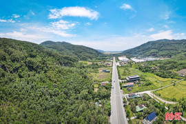 Xây dựng hơn 66 km đường băng cản lửa phòng chống cháy rừng ở Hồng Lĩnh