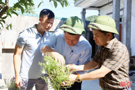 Hà Tĩnh khống chế thành công ổ dịch sốt xuất huyết đầu tiên trong năm 2025