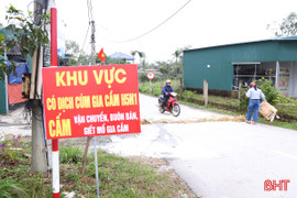 Ráo riết phòng chống dịch gia cầm H5N1 từ “ổ dịch” Cẩm Xuyên