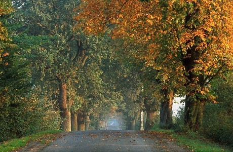 Pomerania, khu vực biên giới giữa Ba Lan và Đức