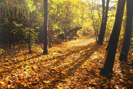 Arrowtown, New Zealand