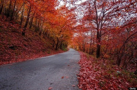 Trikala, Thessaly, Hy Lạp