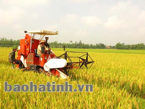 Sản xuất hàng hoá tất yếu sẽ thay thế kiểu sản xuất manh mún, nhỏ lẻ, chất lượng thấp