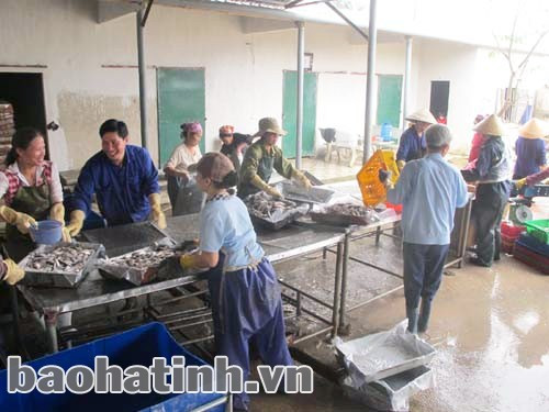 HTX Chế biến thủy hải sản XNK Thiên Phú (xã Thạch Kim, huyện Lộc Hà) tạo việc làm và thu nhập ổn định cho hàng chục lao động địa phương. Ảnh: TL