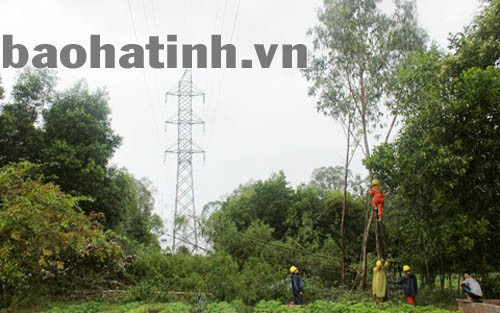 Công nhân Chi nhánh điện Hà Tĩnh phát quang, giải tỏa hành lang an toàn lưới điện tại xã Thạch Điền, Thạch Hà (tháng 11/2012. Ảnh: Thăng Long