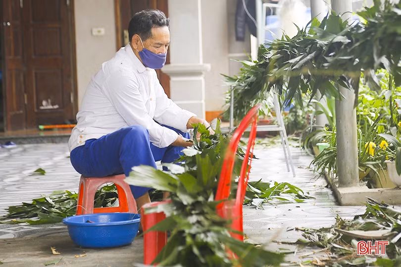 Cây tre, lá đùng đình làm cây nêu được giá ngày cận tết