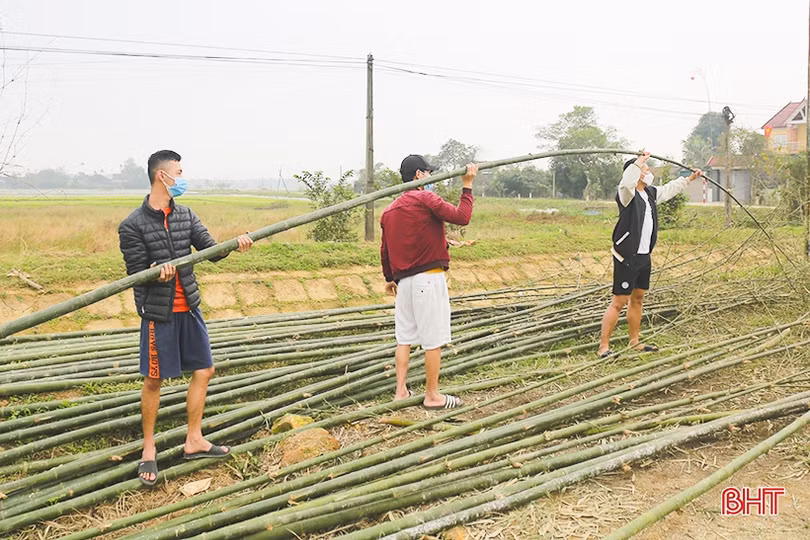 Cây tre, lá đùng đình làm cây nêu được giá ngày cận tết